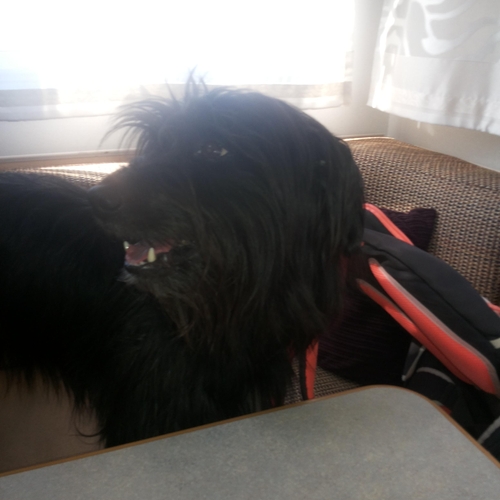 Ausflug im Mai 2016 (1)